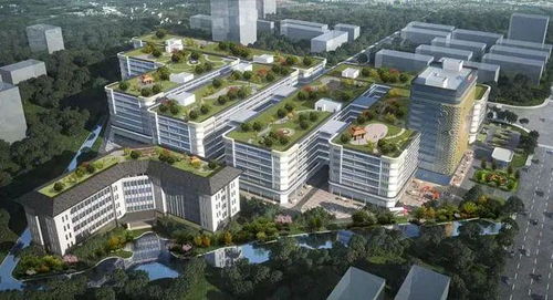 江門迎來企業投資熱潮，實業興城正當時
